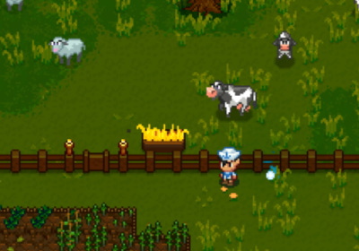 飼育桶での餌やり