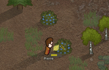 RimWorld 野苺の採取