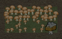 RimWorld 滋養キノコ