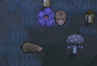 メガハタネズミ