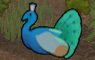 クジャク