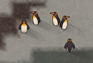 ペンギン