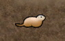 プレーリードッグ