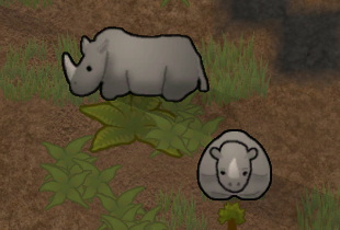サイ
