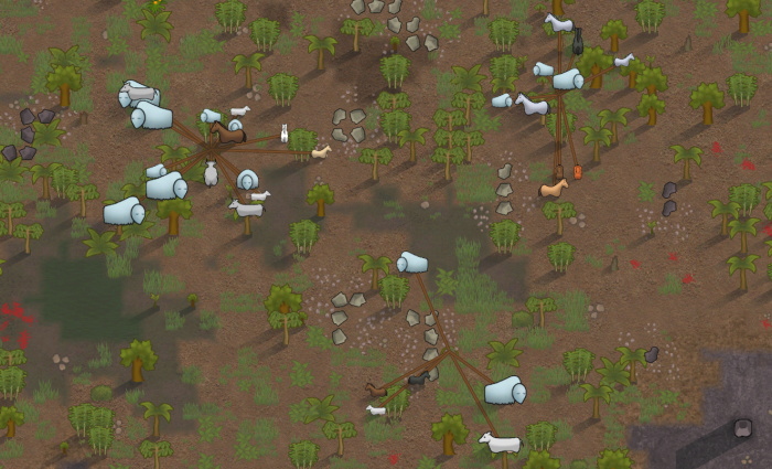 RimWorld 郊外で繋いで放牧